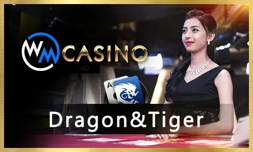 Exciting slot machine game in an online casino